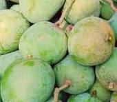 রাজশাহীর খাঁটি গোবিন্দ ভোগ আম - Image 2